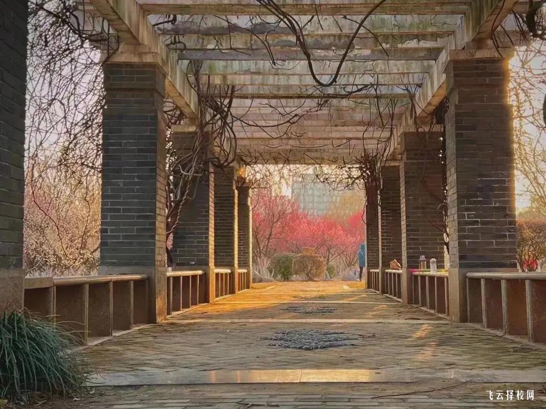 四川省單招有針灸專業(yè)嗎