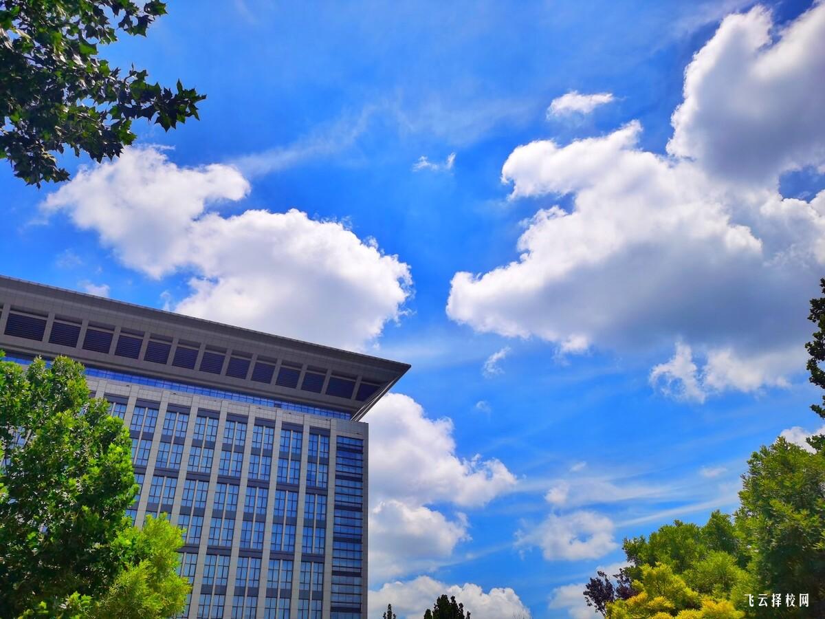 四川適合文科生的大學單招有哪些