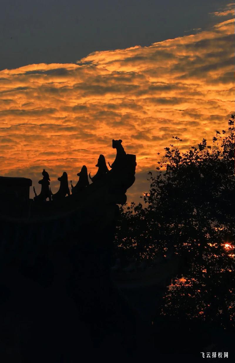 四川中醫(yī)藥高等專科學(xué)校單招是公立學(xué)校嗎