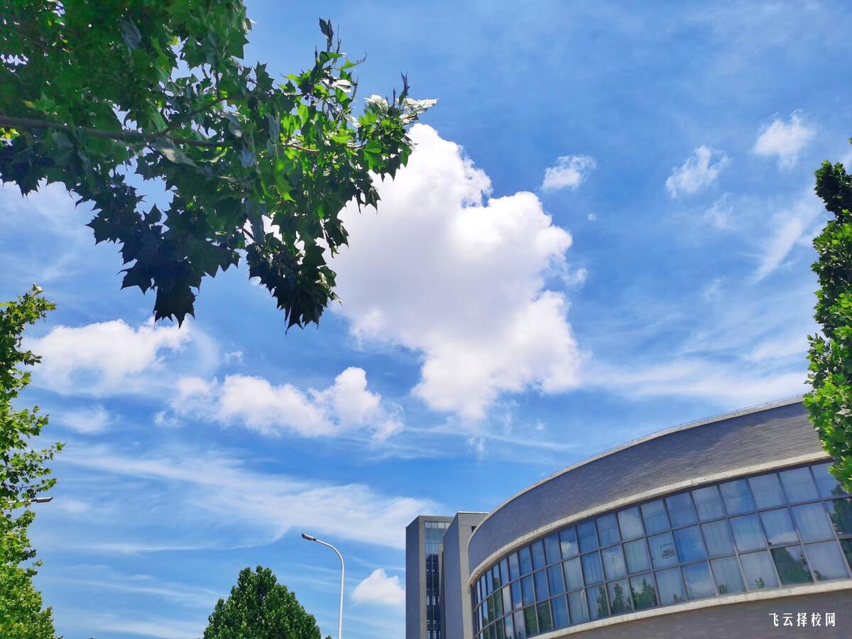 往屆生參加單招要做準備什么