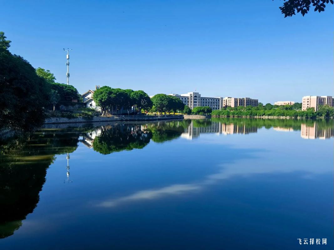 舞蹈生不參加藝考可以單招嗎