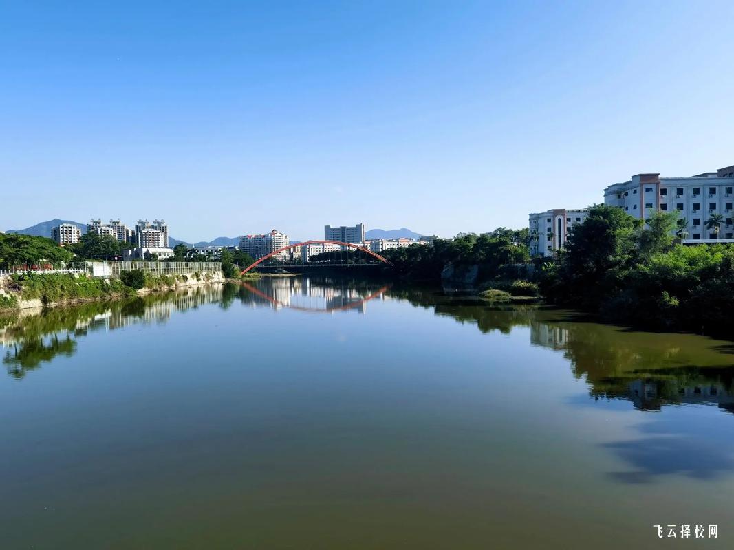 舞蹈生不參加藝考可以單招嗎