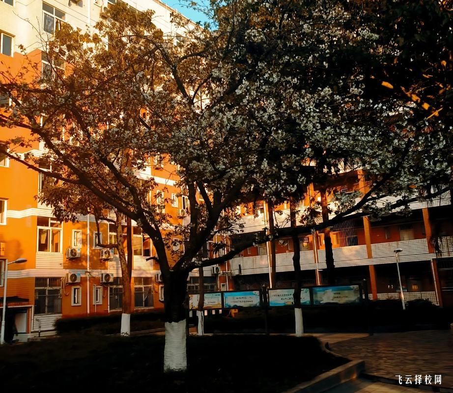 新都單招培訓(xùn)機(jī)構(gòu)有哪些