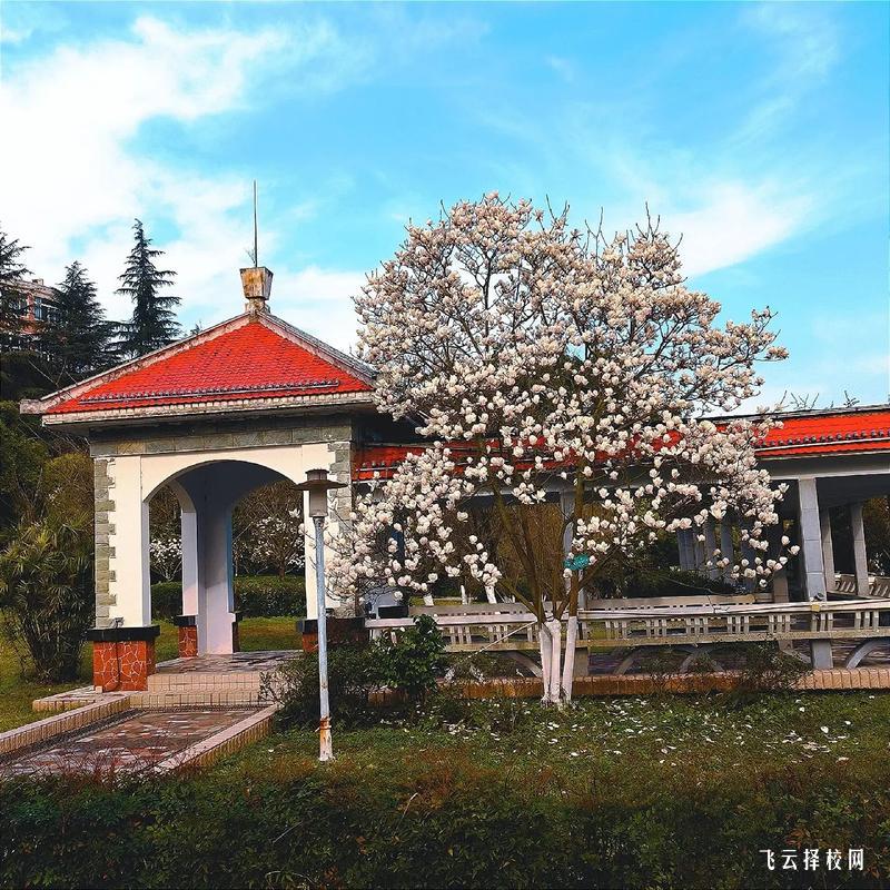 新都單招培訓機構有哪些