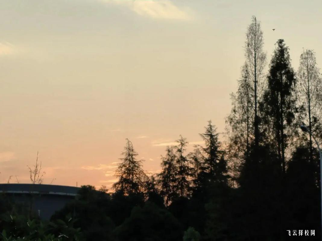 雅安單招培訓機構有哪些