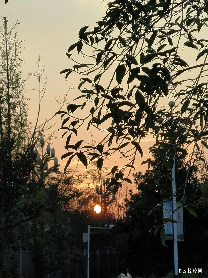 一診360分適合單招嗎