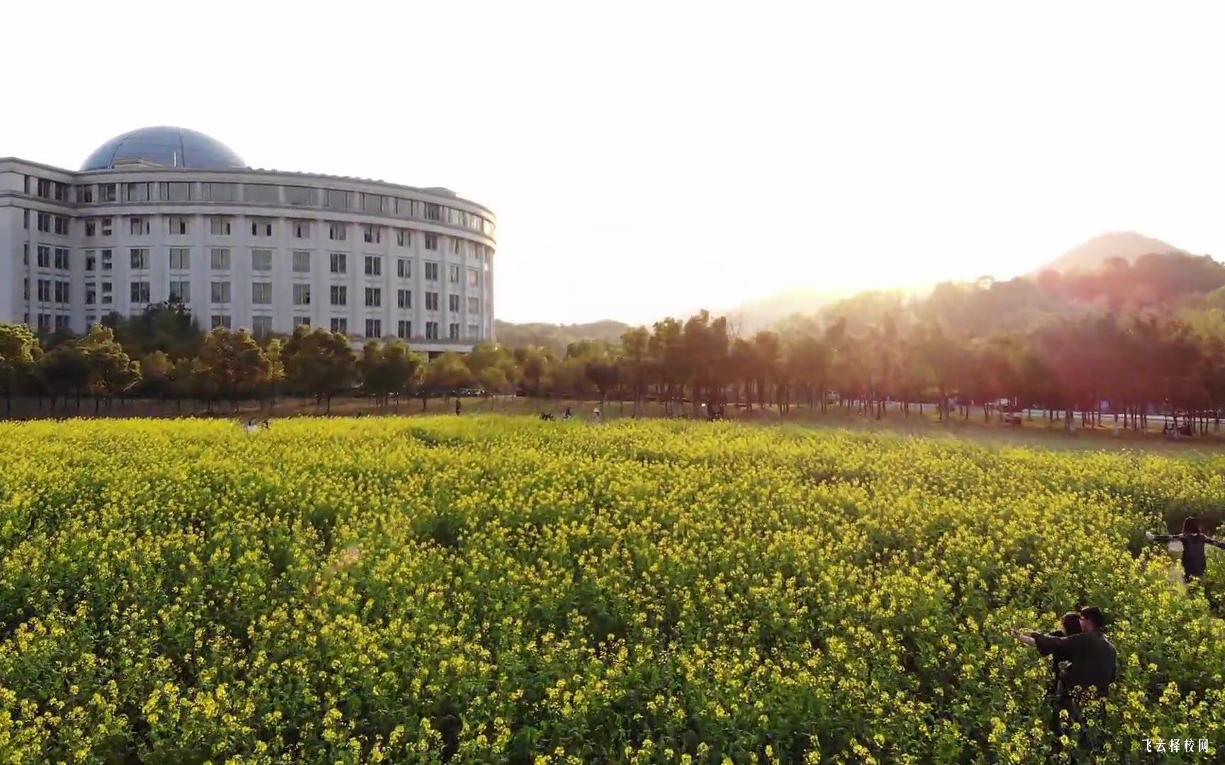 應屆生回省內單招可以嗎