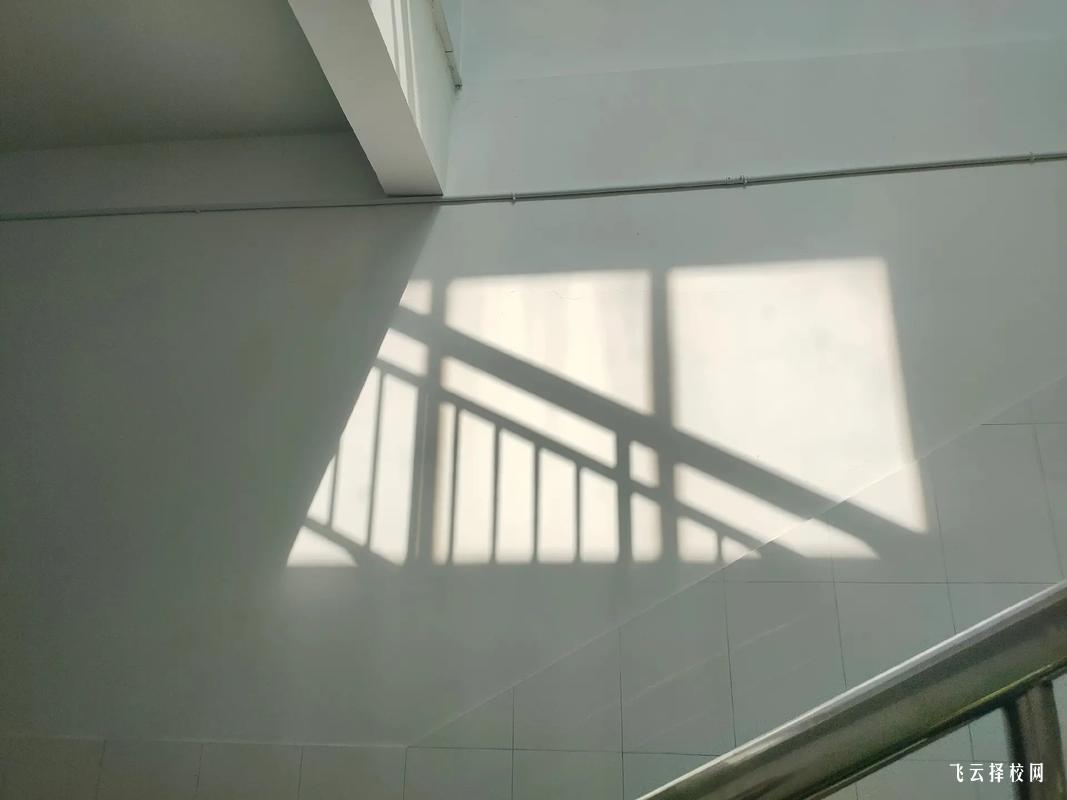 資陽單招培訓機構有哪些