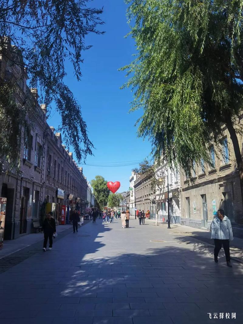 總分沒有300分考慮走單招嗎