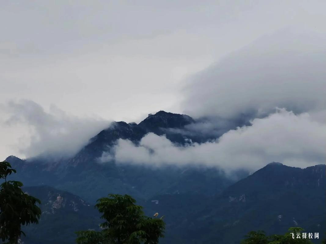 2025年成都醫學院招生條件