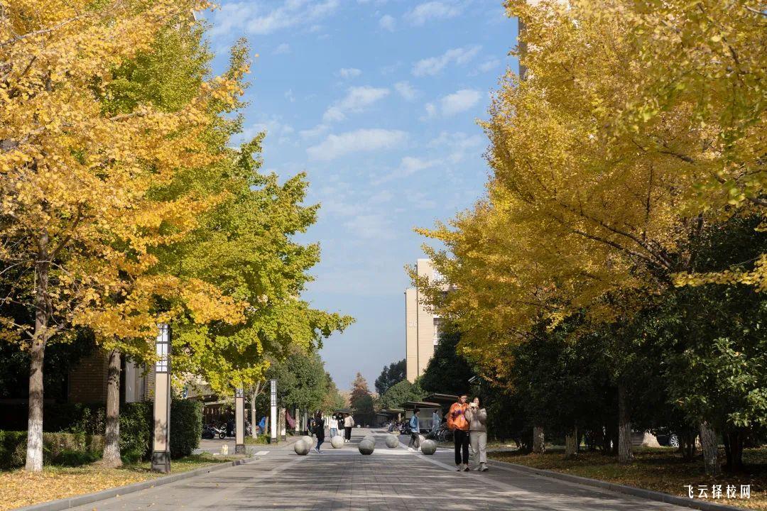 2025年達州中醫藥職業學院招生計劃