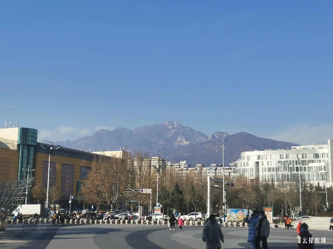 2025年內江職業技術學院招生計劃