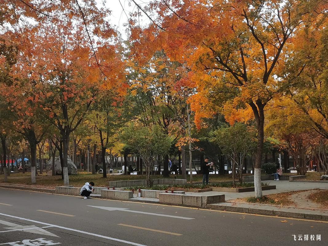 2025年內江職業技術學院招生計劃