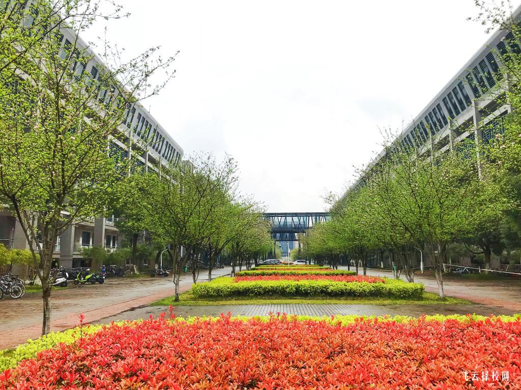 2025年四川城市職業(yè)學(xué)院招生計(jì)劃