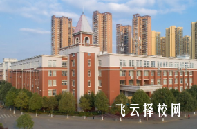 成都航空職業(yè)技術(shù)學(xué)院2025年錄取線是多少