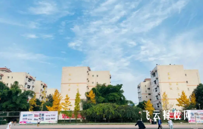 成都禮儀職業(yè)學(xué)院招生范圍