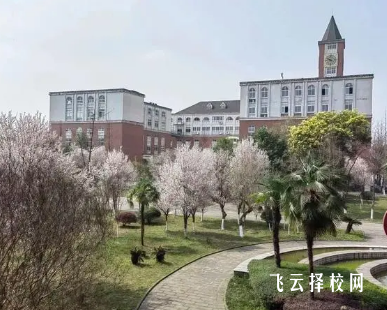 成都職業(yè)技術學院是公辦的嗎