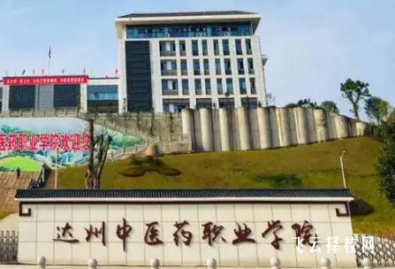 達州中醫(yī)藥職業(yè)學(xué)院老校區(qū)地址