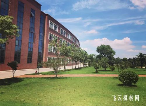 德陽建院比較好的專業是哪幾個