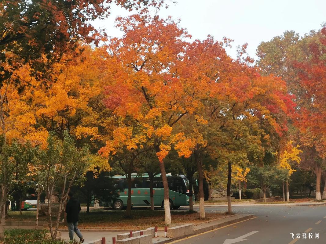 廣元信息職業(yè)技術(shù)學(xué)院一年要多少學(xué)費