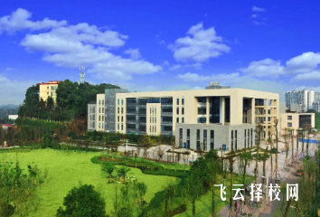 樂山衛校和樂山職業技術學院是不是合并了