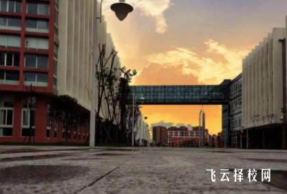 樂職院2024年錄取線是多少