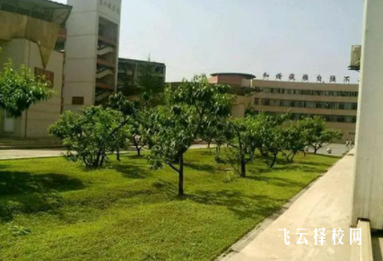 龍泉驛區護理職業學院在哪里