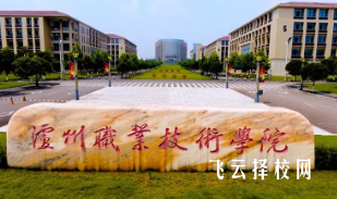 瀘州技術職業學院是公辦還是民辦