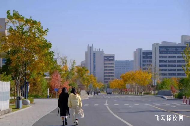 眉山工程技師學(xué)院是大專嗎