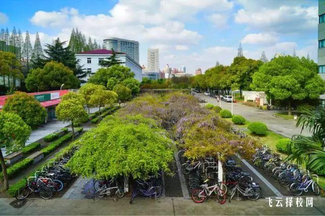 眉山市職業技術學院有哪些專業