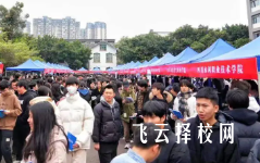 2025年四川單招分文科理科嗎