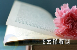 2025年四川還能走單招嗎