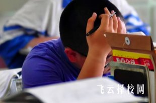 2025四川單招什么時候報名呢