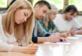 2025四川單招是本科還是專科呢