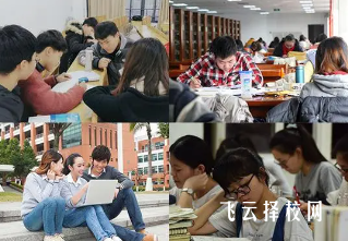 成都單招培訓什么時侯開始