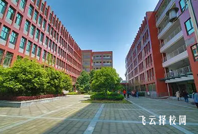 單招考試必須專業對口嗎