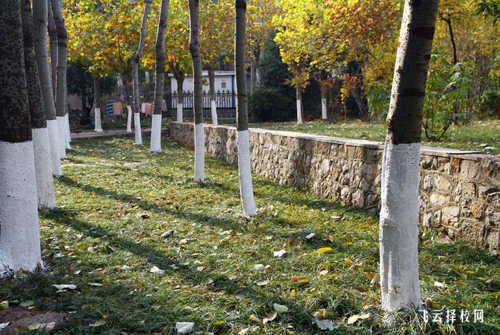 單招音樂表演專業考什么