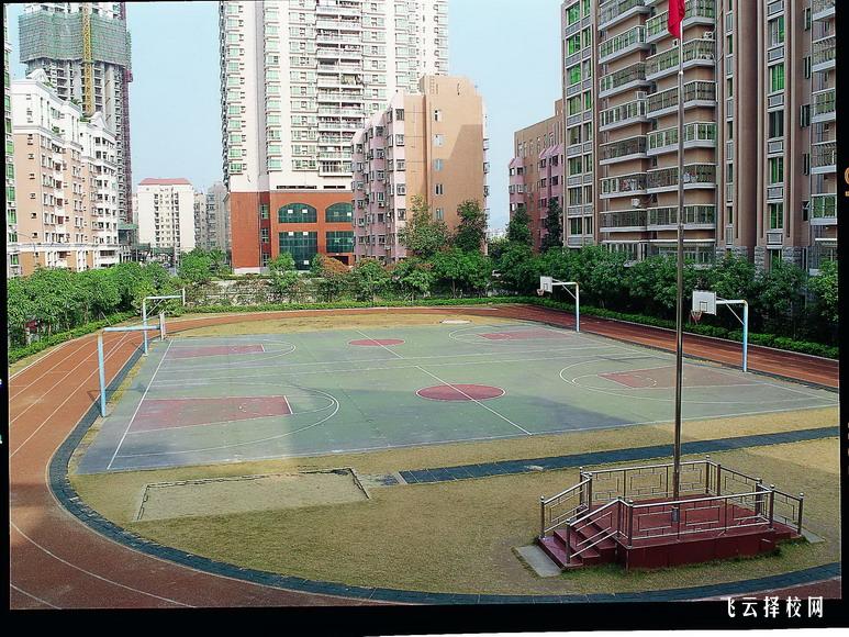 德陽市單招培訓機構有哪些學校