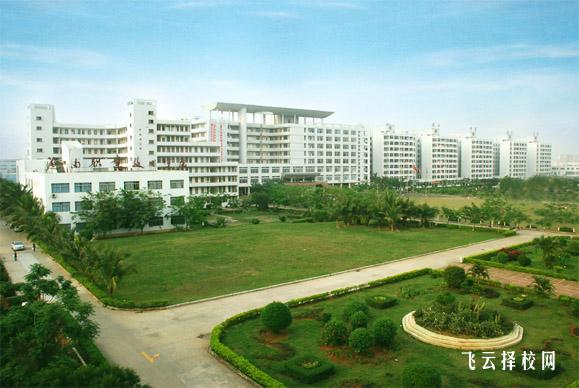 對口單招考什么內容