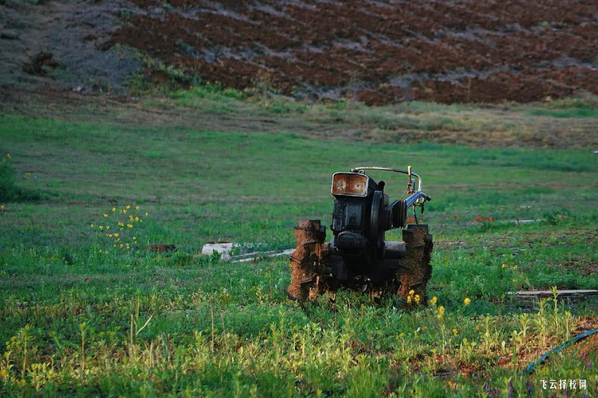 高考大專和單招大專在同一個(gè)學(xué)校嗎