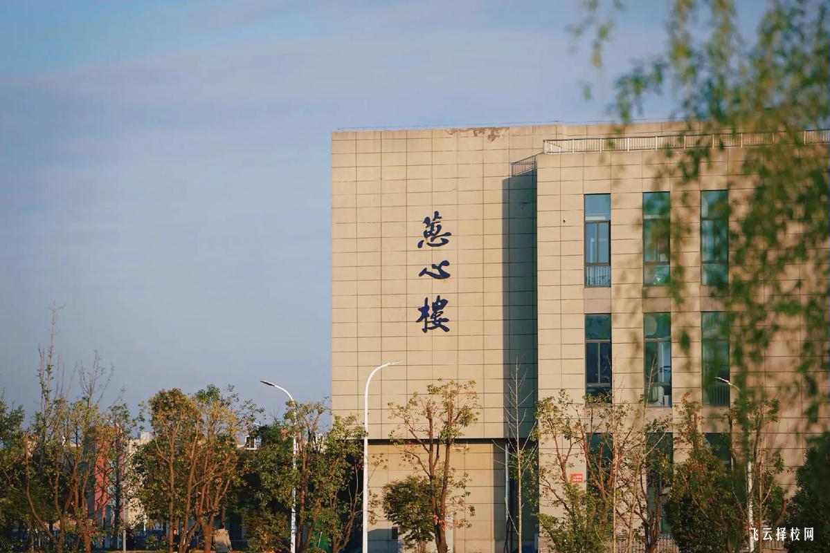 高中的最后一年是不是可以參加單招