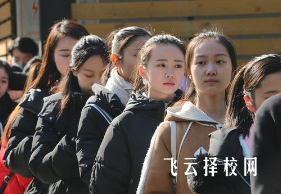 藝術生走高職單招有用嗎