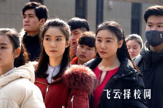 藝術生走高職單招有用嗎