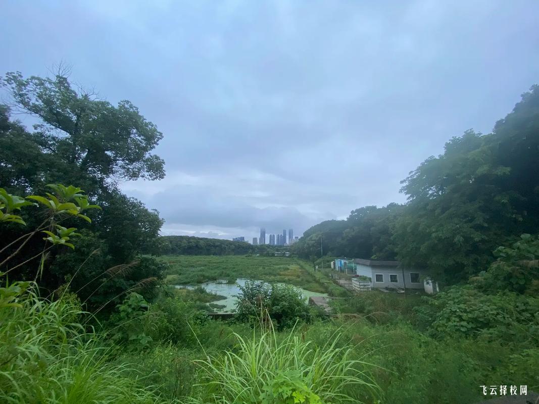 安岳職高學(xué)費(fèi)一年多少錢