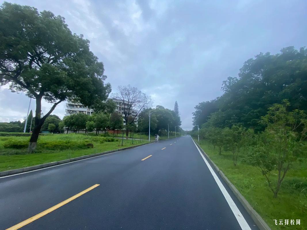 蒼溪職高2024招生簡(jiǎn)章