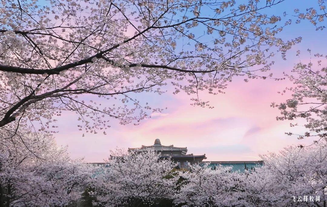 成都歐曼蒂技工學校怎么樣