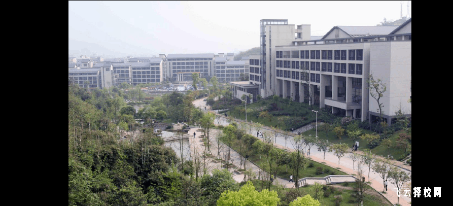 眉山職業技術學院有哪些專業