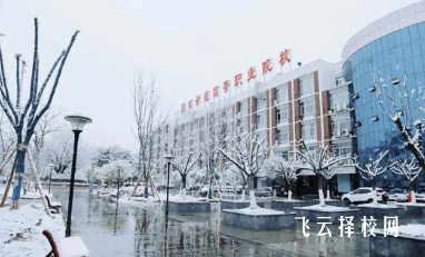 綿陽職業技術學院2024年錄取線