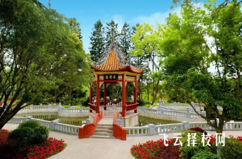 綿陽職業技術學院2025年招生條件