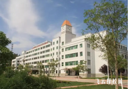 綿陽職業技術學院藝體生招生標準